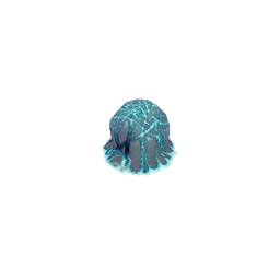Spider Eggs